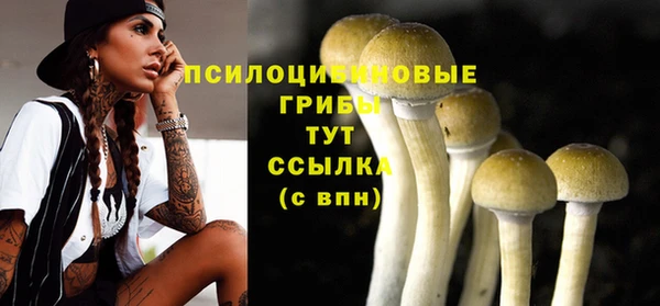 синтетический гашиш Абдулино