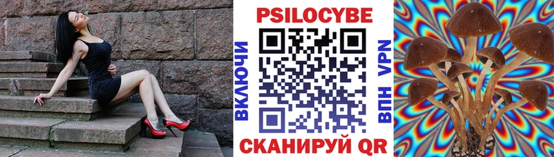Галлюциногенные грибы мухоморы  хочу наркоту  Чекалин 